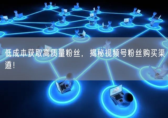 低成本获取高质量粉丝，揭秘视频号粉丝购买渠道！