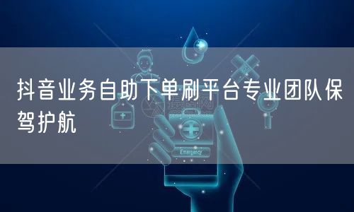 抖音业务自助下单刷平台专业团队保驾护航