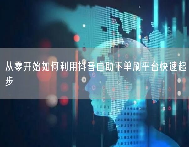 从零开始如何利用抖音自助下单刷平台快速起步